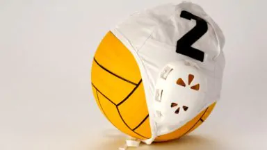 5 Best-Rated Men’s Water Polo Coaches