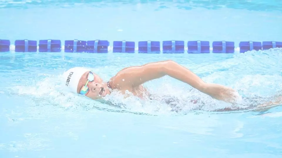 Swimming and Diving Scholarships by Division 2aDays News