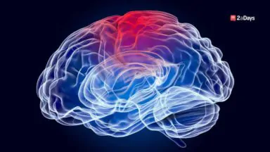 Handling Concussions Head On: Testing and the Role of Parents and Coaches in Concussion Treatment