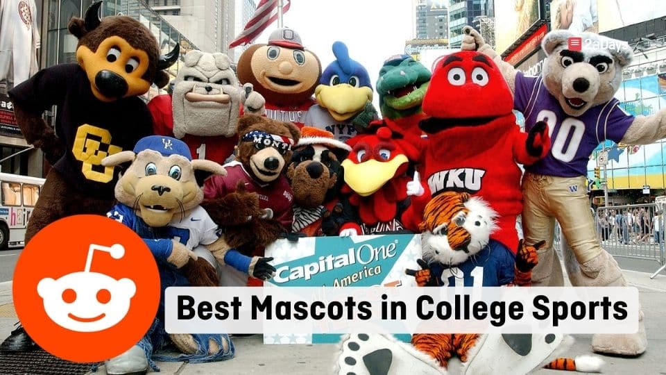 Best College Mascots