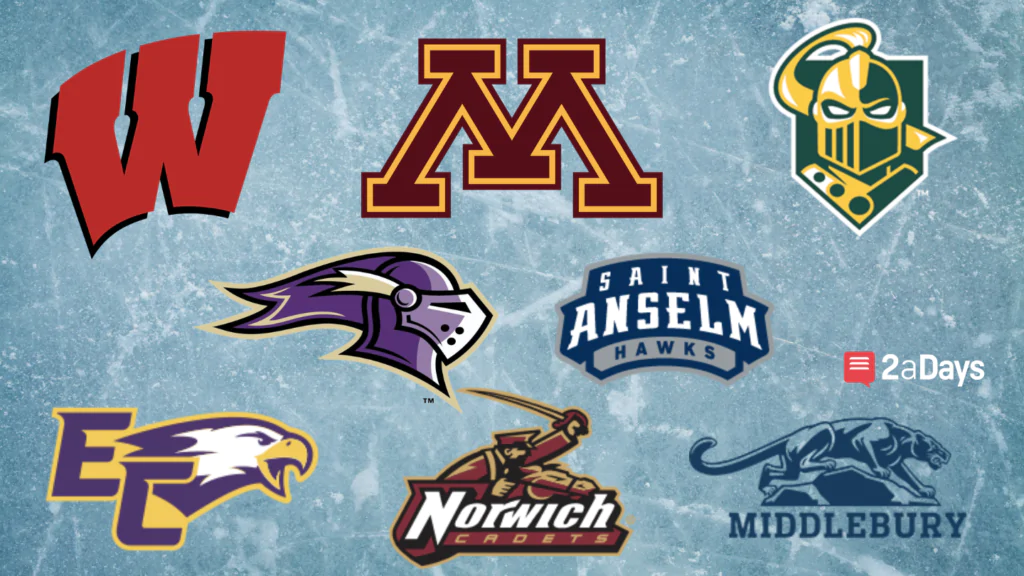 Top 8 NCAA Women's Ice Hockey Programs Across DI, DII, and DIII